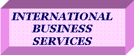 Text Box: INTERNATIONAL BUSINESS SERVICES