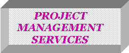Text Box: PROJECT MANAGEMENT SERVICES