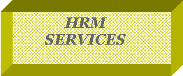 Text Box: HRMSERVICES